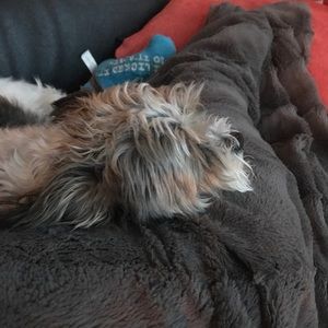 Meet your Posher, Madison